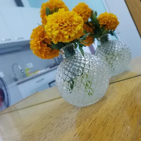Vokin Apartment